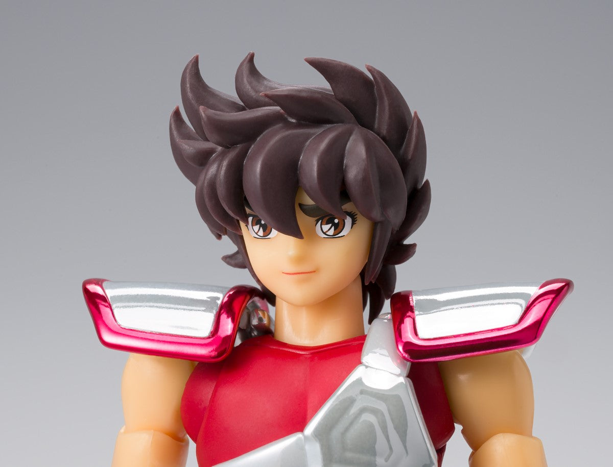 PEGASUS SEIYA 20th Anniversary